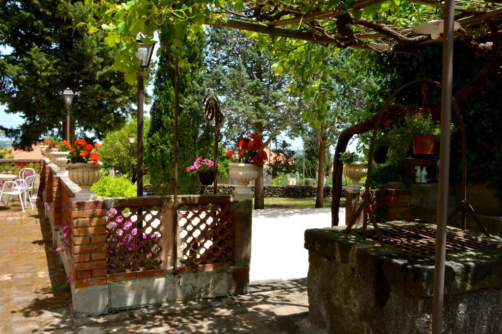 Villa Bonaccorso - Antica E Maestosa Villa Con Piscina Ai Piedi Dell'Etna 비아그란데 외부 사진