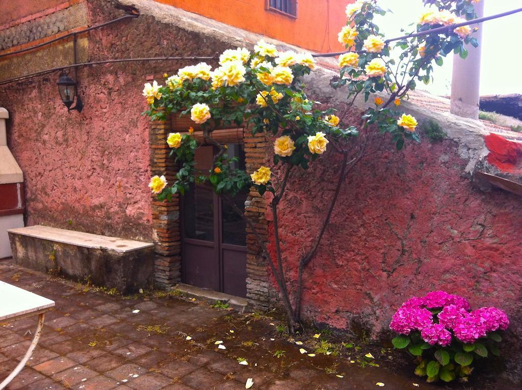 Villa Bonaccorso - Antica E Maestosa Villa Con Piscina Ai Piedi Dell'Etna 비아그란데 외부 사진