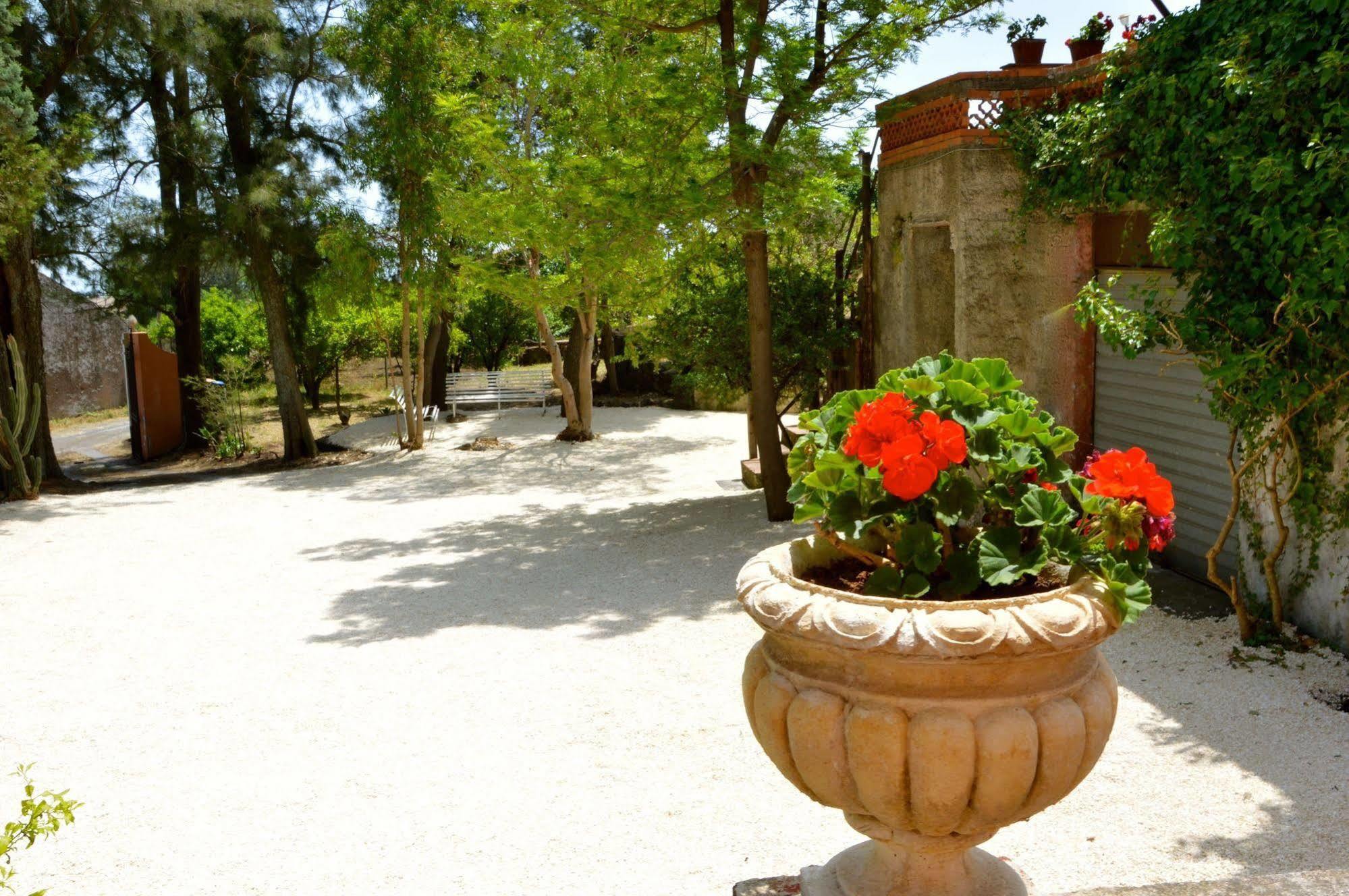 Villa Bonaccorso - Antica E Maestosa Villa Con Piscina Ai Piedi Dell'Etna 비아그란데 외부 사진