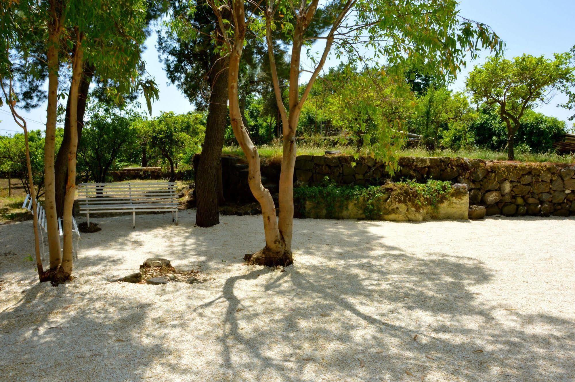 Villa Bonaccorso - Antica E Maestosa Villa Con Piscina Ai Piedi Dell'Etna 비아그란데 외부 사진